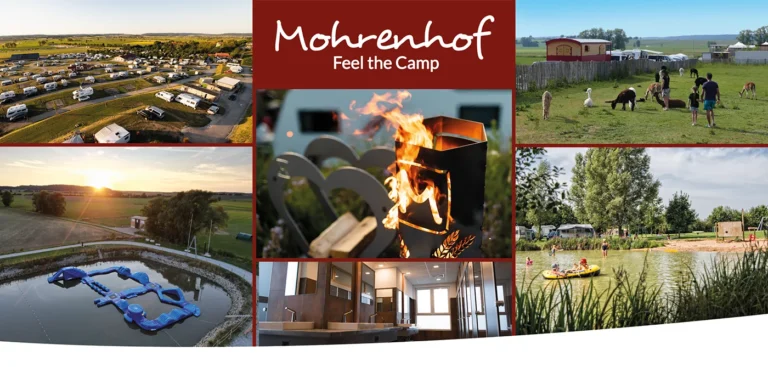 Design Mehrwegbecher - Collage mit Impressionen vom Mohrenhof: Luftbild Campingplatz, Alpakas, Lagerfeuer, Badesee und Sanitäranlagen