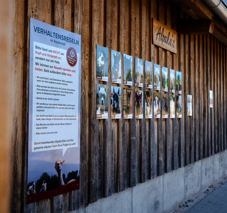 Übersicht der Holzwand am Alpakastall mit dem Regelschild und den Alpaka-Steckbriefen.
